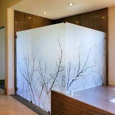 Etched Glass Shower Doors Photos