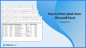 how to print labels from microsoft excel