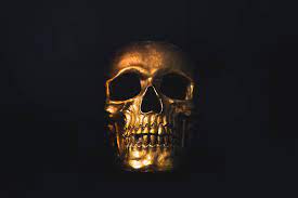 800 skull wallpapers wallpapers com