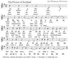 flower of scotland sheet and tin