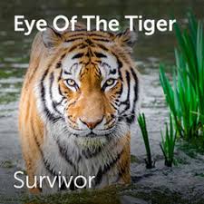 4 users explained eye of the tiger meaning. Survivor Eye Of The Tiger Sheet Music For Choirs And A Capella