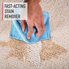 carpet cleaner solution spray