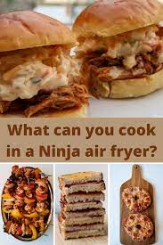ninja air fryer recipes all nice and