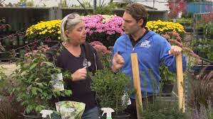 Get Growing Expert Gardening Tips And