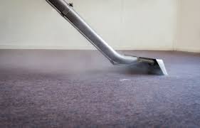 carpet cleaning sarasota county