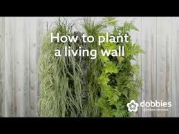 how to create a living wall in your