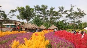 Ingin membeli tanah di pandeglang? Terpikat Cantiknya Taman Bunga Kadung Hejo Di Pandeglang Lifestyle Liputan6 Com