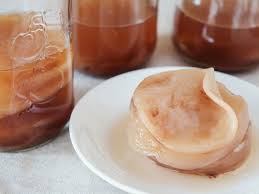 kombucha scoby what it is and how to