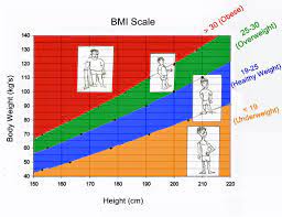 bmi body m index calculator
