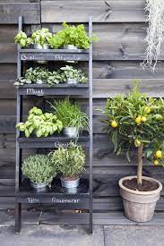 How To Make A Balcony Herb Garden