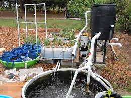 the aquaponics non miracle why has