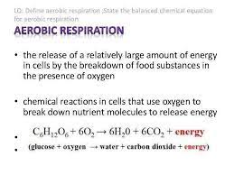 What Is Meant By Aerobic Respiration