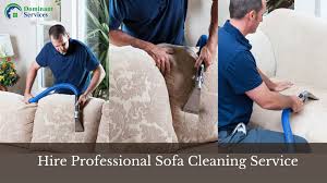 hire professional sofa cleaning service