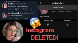 Daily videos ✨i support @charlidamelio and @addisonraee follow me for more content tiktok: Charli D Amelio Instagram Account Deleted 2020 Tiktok Hacks Youtube