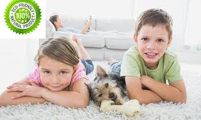 eco carpet cleaning eco friendly