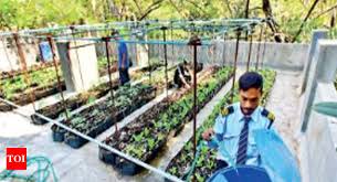 Own A Terrace Try Rooftop Farming