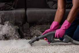 professional carpet cleaning concord