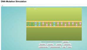 Mutation virtual lab worksheet answers : Mutations Lab Worksheets Teaching Resources Teachers Pay Teachers