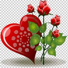 rose flower valentines day png