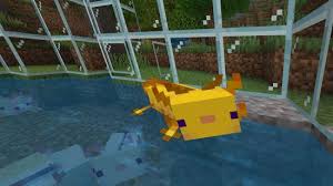 minecraft axolotl guide how to find