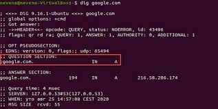 linux dig command dns lookup
