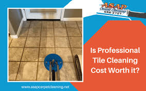 is professional tile cleaning cost