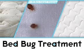 bed bug treatment manhattan