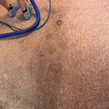top 10 best carpet cleaning services