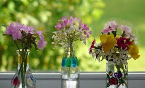 There are a few important factors to consider before you dry your letting flowers dry in a vase requires the least amount of effort; How To Keep Flowers Fresh For Longer Flower Delivery In Nairobi Same Day Flower Delivery In Nairobi