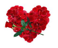 See more ideas about flowers, beautiful roses, pretty flowers. Beautiful Heart Of Red Rose Petals And Stock Image Colourbox
