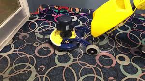 cimex carpet cleaning you