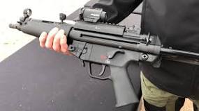 Image result for 2023 question ask about hksp5 gun