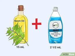 Then, continue adding distilled water and puréeing the mixture until the garlic is fully liquified. 7 Ways To Make Organic Pesticide Wikihow