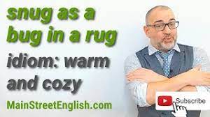 english idioms snug as a bug in a rug