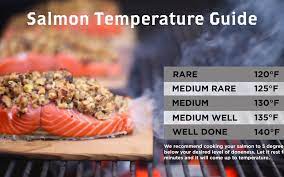 Best Temp To Cook Salmon gambar png