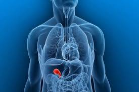 gallbladder function problems