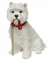 Westie With Lead West Highland Terrier