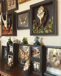 Available Now Taxidermy Decor Gothic