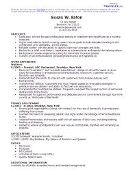 Simple Nursing Resume CV Template  Free Download Pinterest