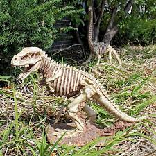 T Rex Raptor Dinosaur Statue Jq6481