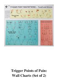 1996 Trigger Points Of Pain Pdf Wall Charts Set Of 2 By