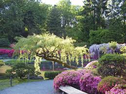 Japanese Gardens Pond Bench Seat