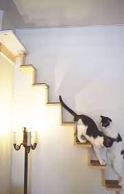 Cat Staircase Cats Can Climb From