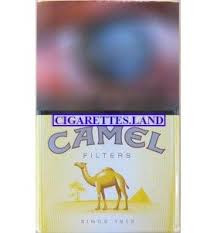 camel filters