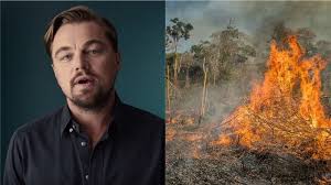 It's easy to believe leonardo dicaprio really is the king of the world. but leo struggled at the beginning, just like everyone else. Dicaprio Cria Fundo Da Amazonia Com Investimento De Us 5 Milhoes