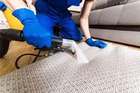 how professional rug cleaning solves