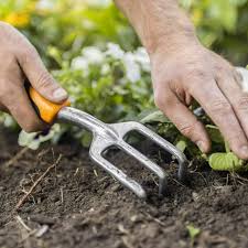 best garden tools and garden essentials