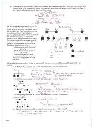 Create a pedigree chart usbiologyteaching com. Pedigree Worksheet Answer Key Promotiontablecovers