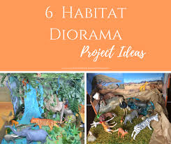 The next time that you're in your local natural history museum, don't just look at the large animals in the dioramas — really look for. Shoebox Diorama Homeschool Plum Cheeky Solutions Rhythms Of Grace Homeschool Life