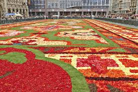 nia petals brussels flower carpet